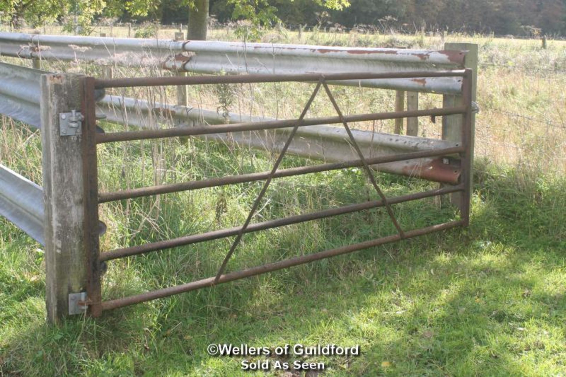 CATTLE CRUSH AND GATE (APPROX 9') - BUYER TO DISMANTLE - LOCATED IN FIELD - Image 3 of 5