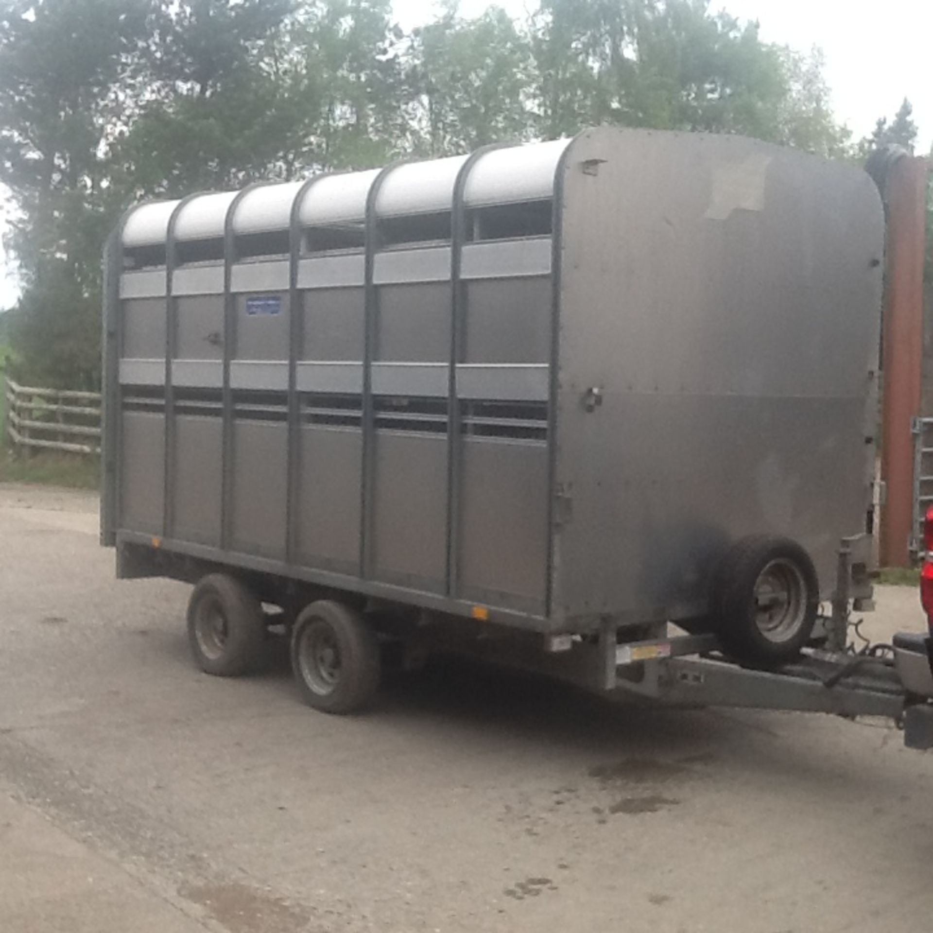 IFOR WILLIAMS DP120 LIVESTOCK TRAILER