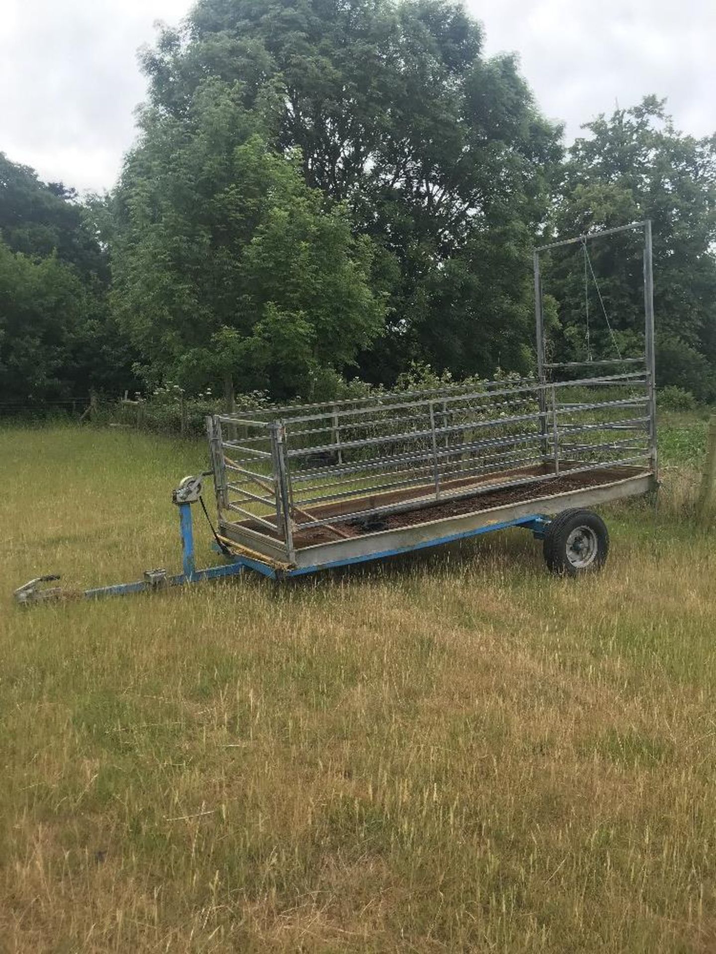 MOBILE FOOTBATH