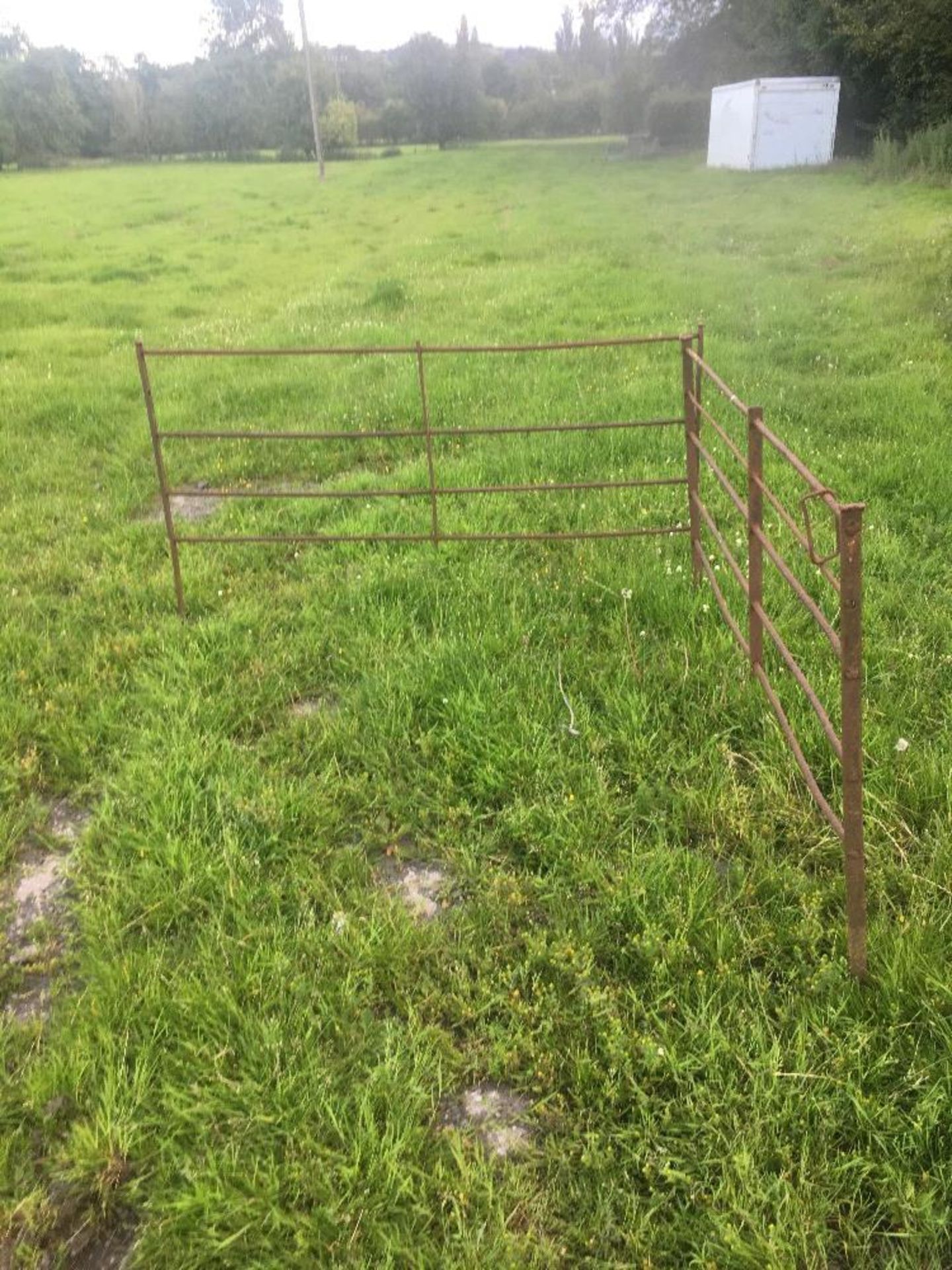 10 X ANTIQUE IRON 6ft SHEEP HURDLES