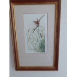 Terence Lambert 1951-present British Wren on a branch signed watercolour