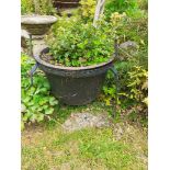 A cast iron planter in a metal frame