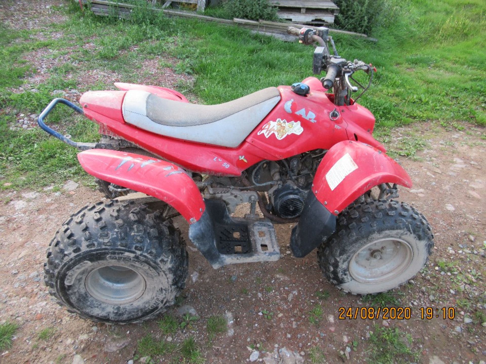 KIDS QUAD BIKE - Image 2 of 3