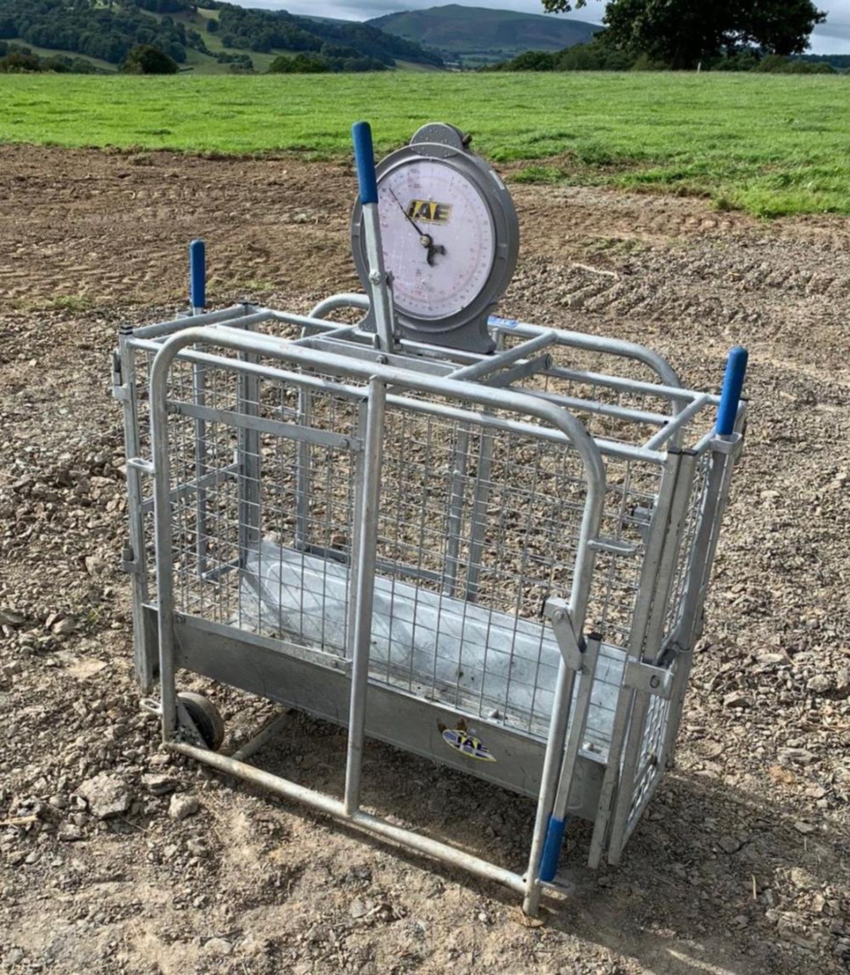 IAE MECHANICAL SHEEP WEIGHER