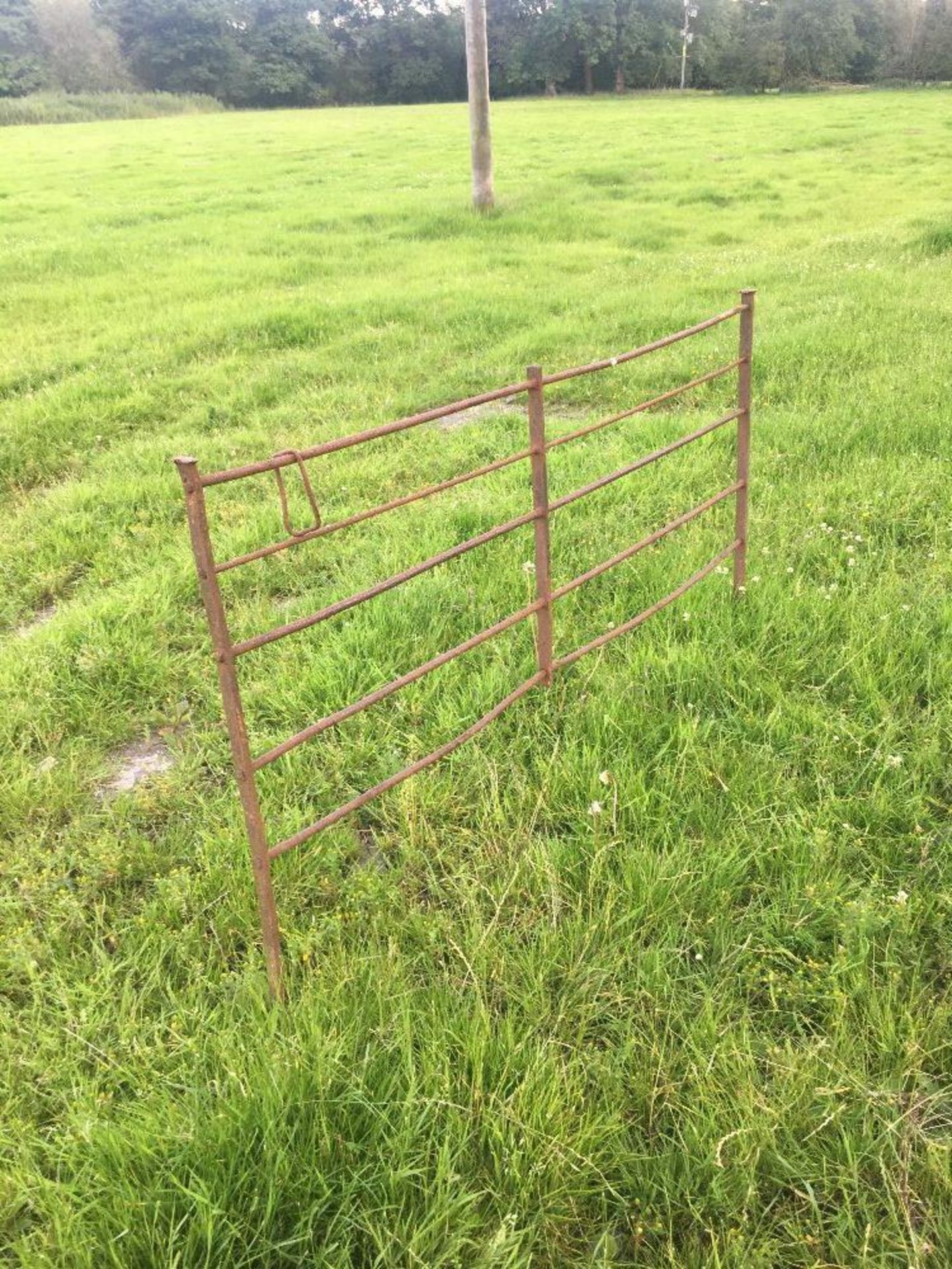 10 X ANTIQUE SHEEP HURDLES 6ft - Image 3 of 3