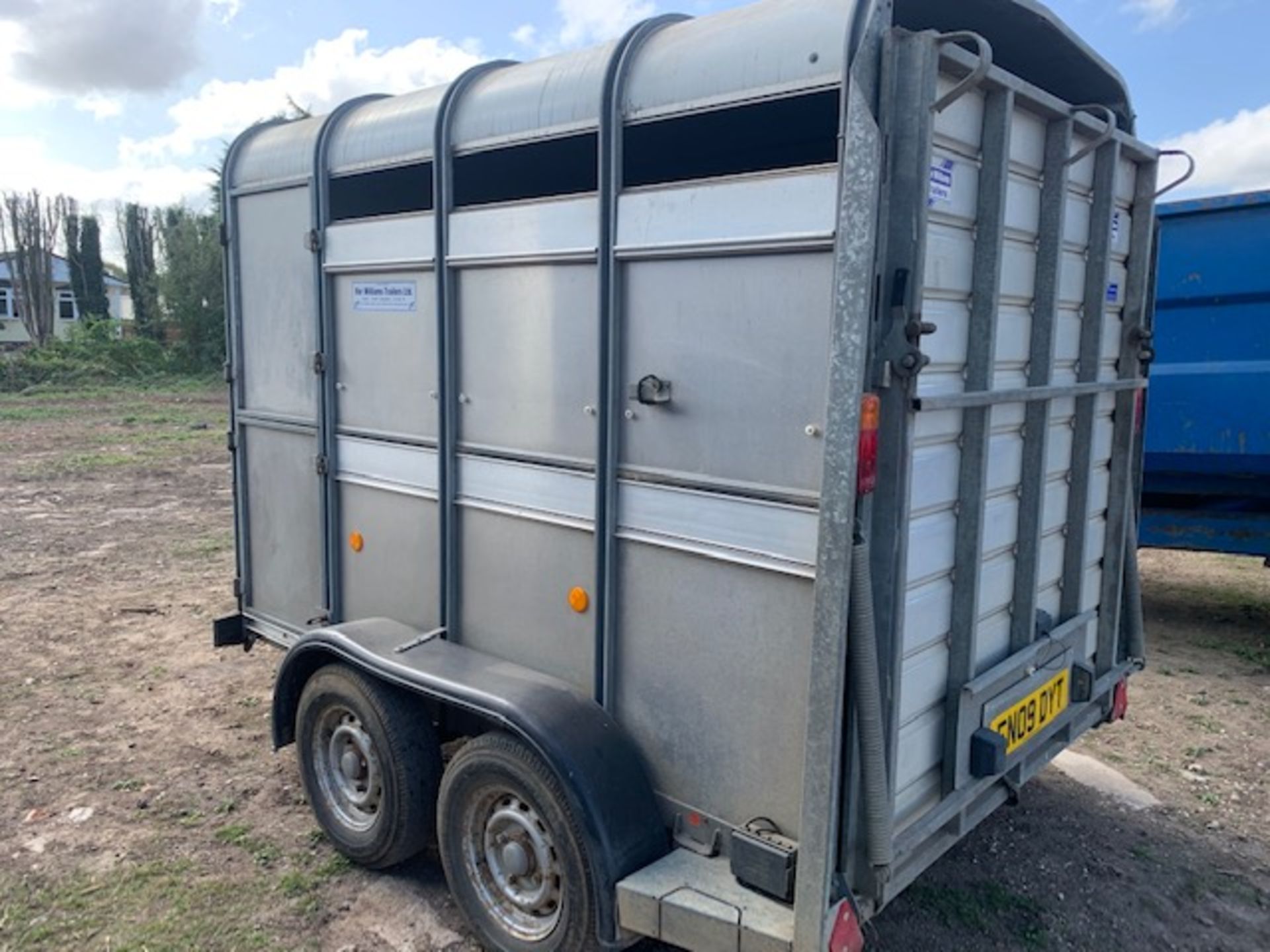 IFOR WILLIAMS TA5 G 8FT CATTLE TRAILER - Image 6 of 6