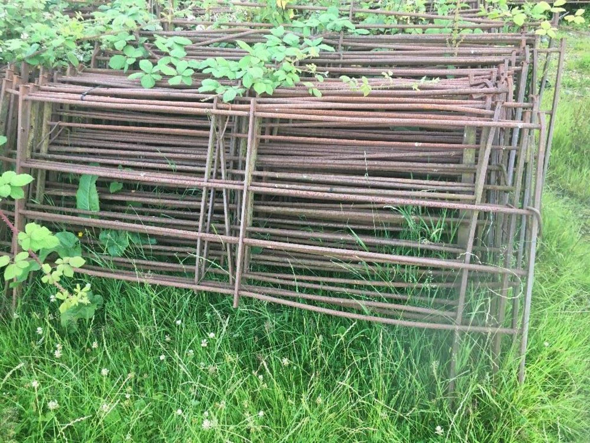 10 X ANTIQUE SHEEP HURDLES 6ft - Image 2 of 3