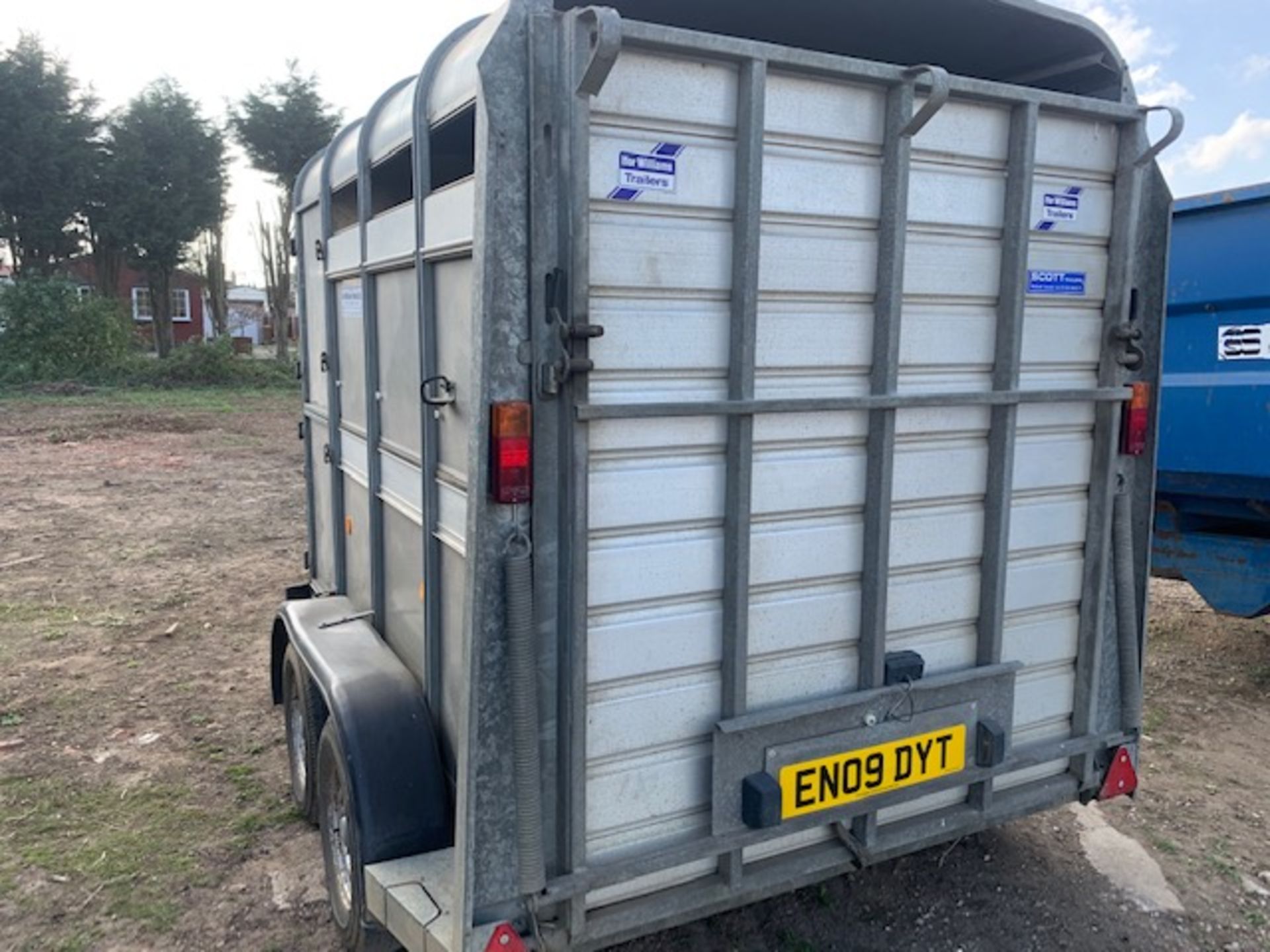 IFOR WILLIAMS TA5 G 8FT CATTLE TRAILER - Image 5 of 6