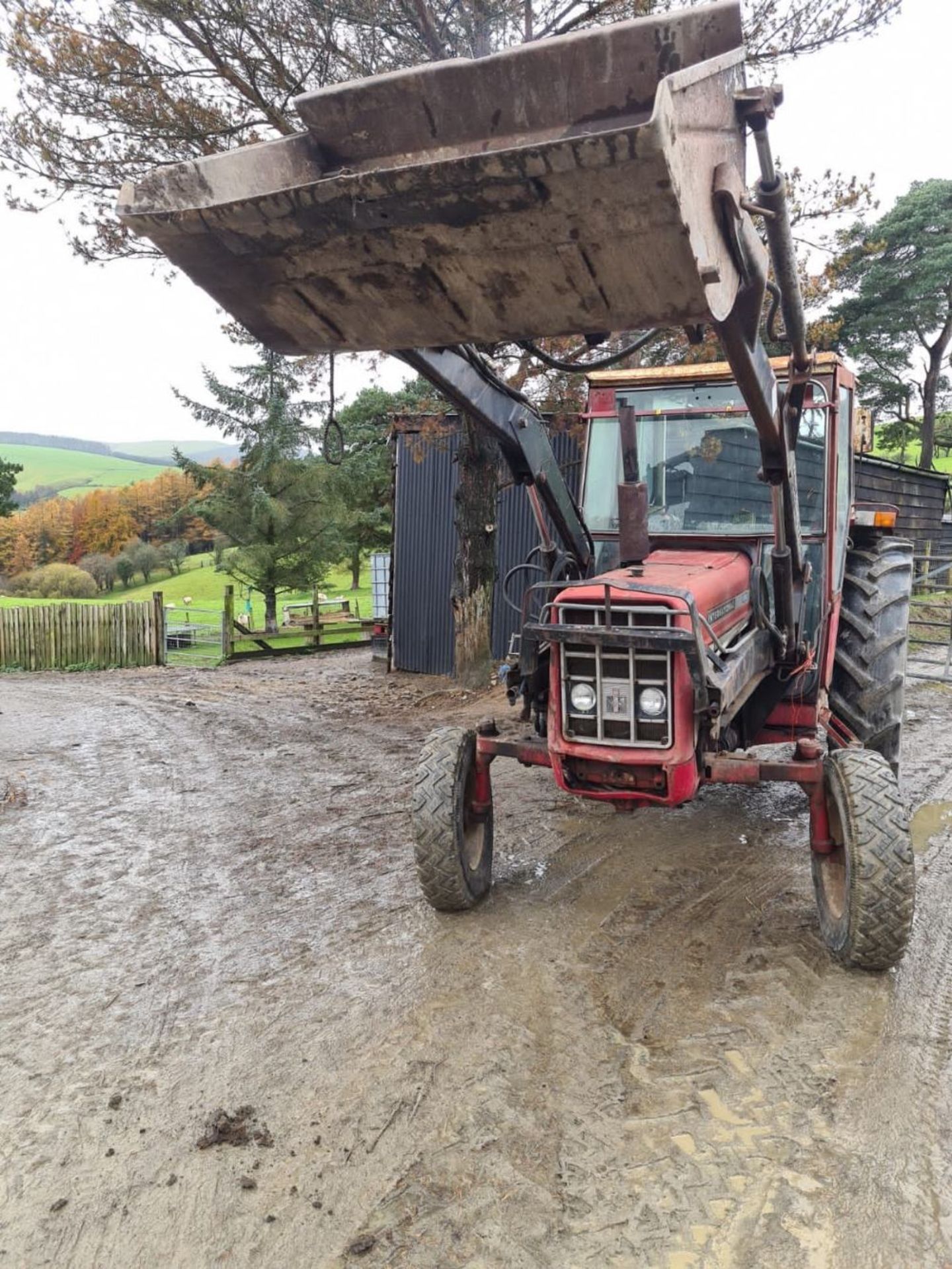 INTERNATIONAL 674 TRACTOR & LOADER - Image 2 of 5