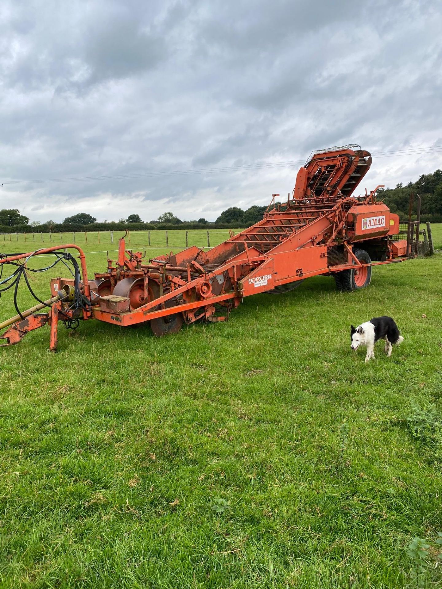 AMAC 2 ROW POTATO HARVESTER - Image 2 of 9