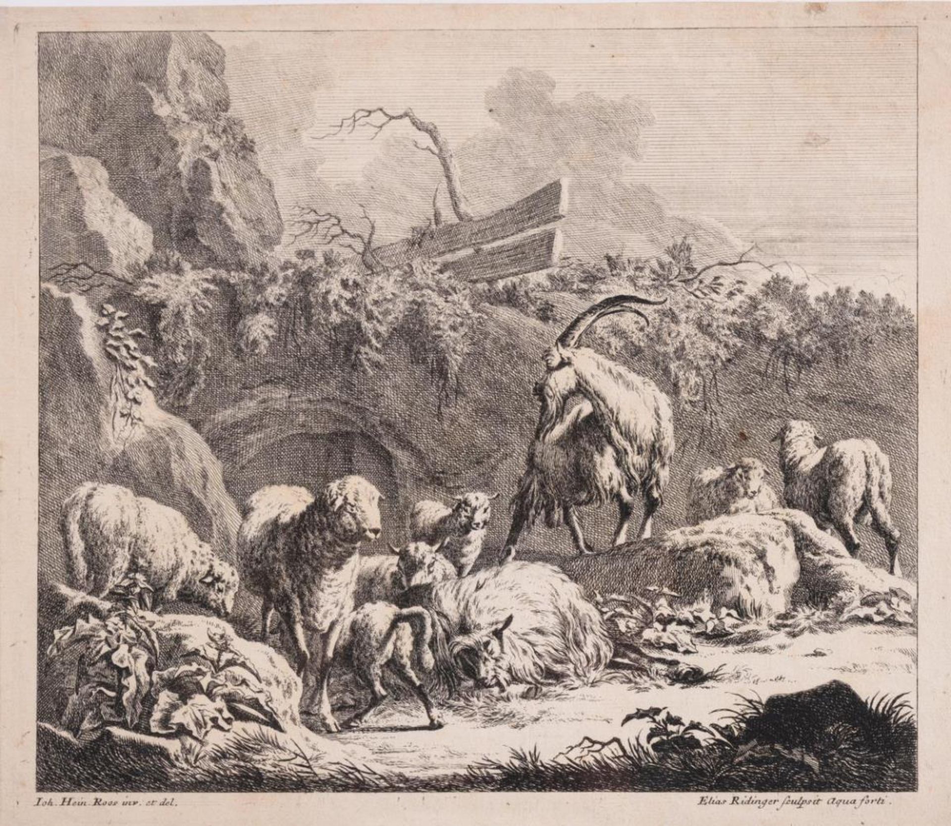 &quot;Geh&#246;rnter Ziegenbock mit Ziege und Schafen in felsiger Landschaft&quot;