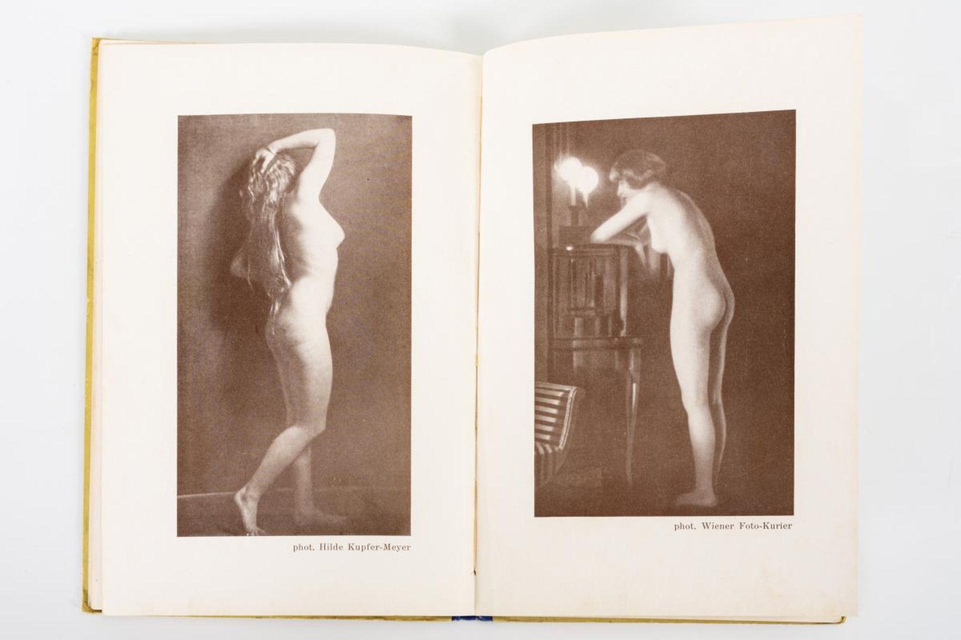 2 B&#228;nde &quot;Der vollendete Akt - ein Bilderbuch der Nacktheit&quot; - Bild 3 aus 3