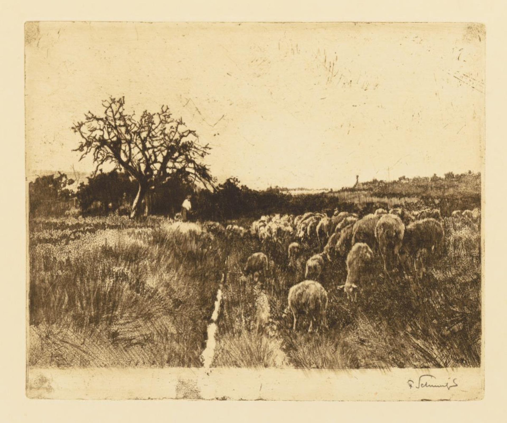 Schafherde und K&#252;he vor einem Bauernhaus - Bild 3 aus 3