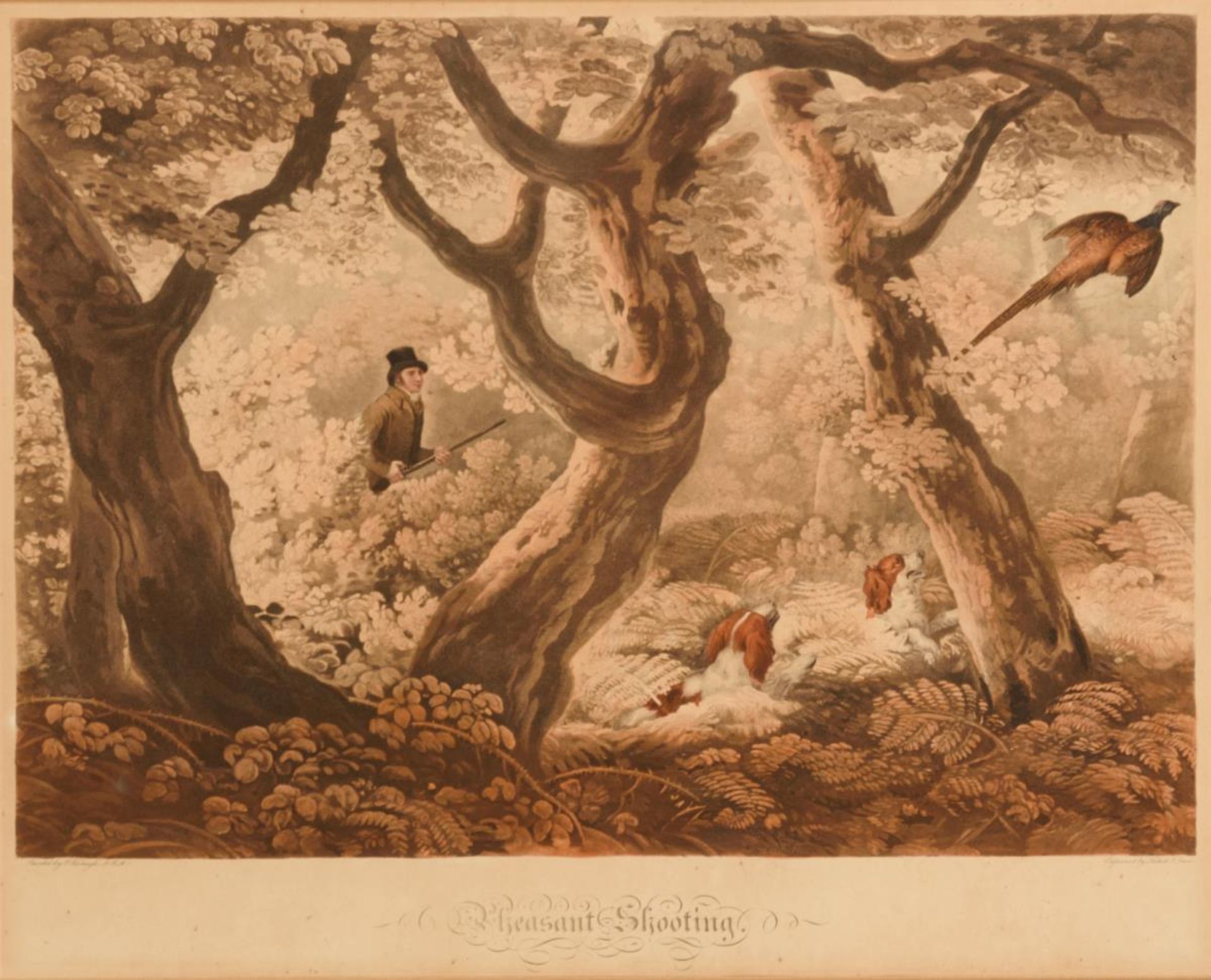 Nichols and Lewis: &quot;Pheasant Shooting&quot;