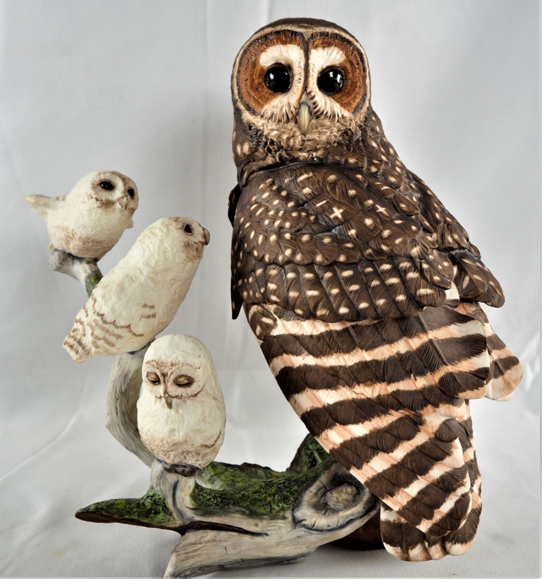 Franklin Mint - "The Spotted Owl", Bisquitporzellan Eule mit drei Jungen auf einem Ast, Franklin