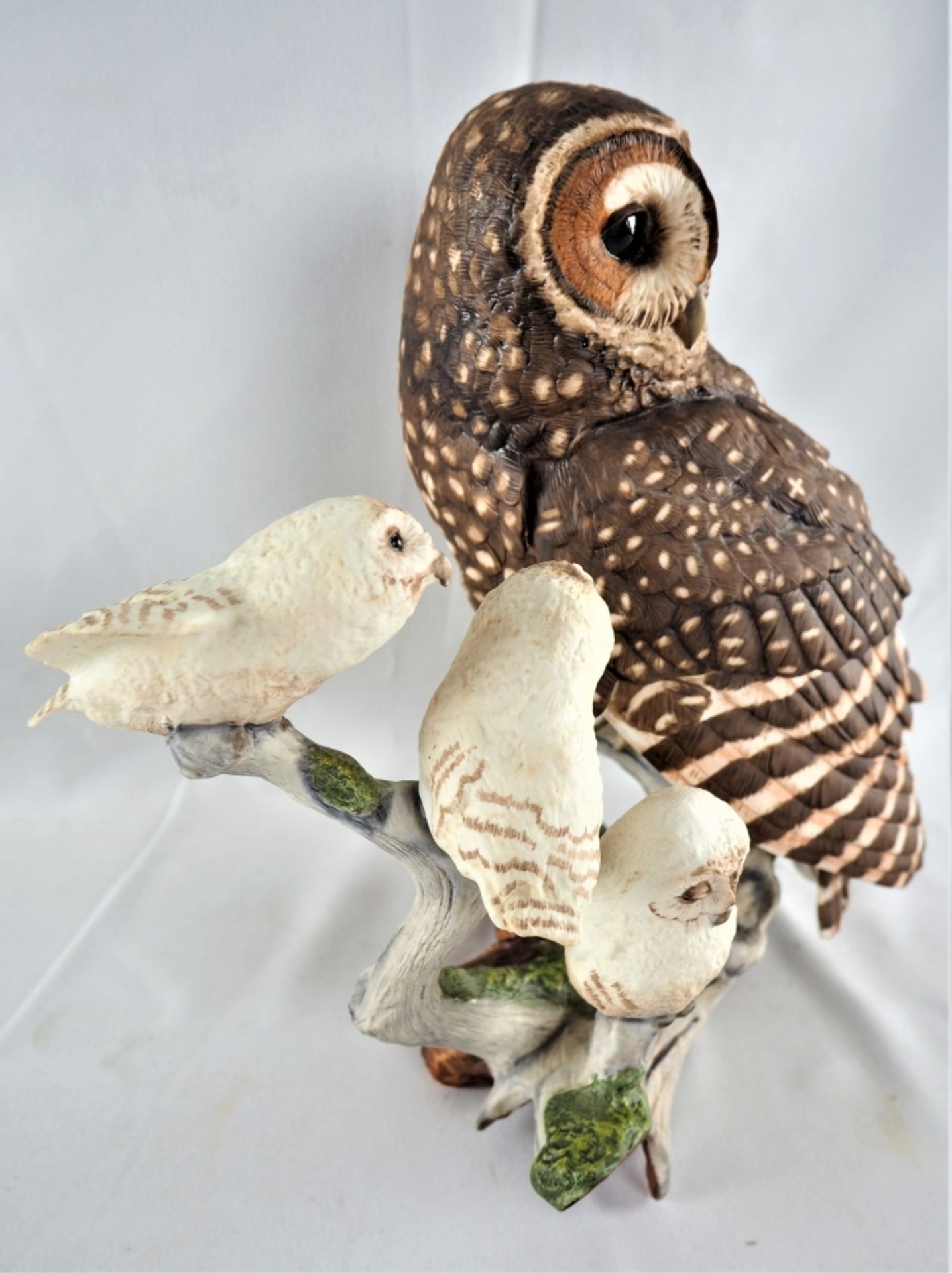 Franklin Mint - "The Spotted Owl", Bisquitporzellan Eule mit drei Jungen auf einem Ast, Franklin - Bild 2 aus 4