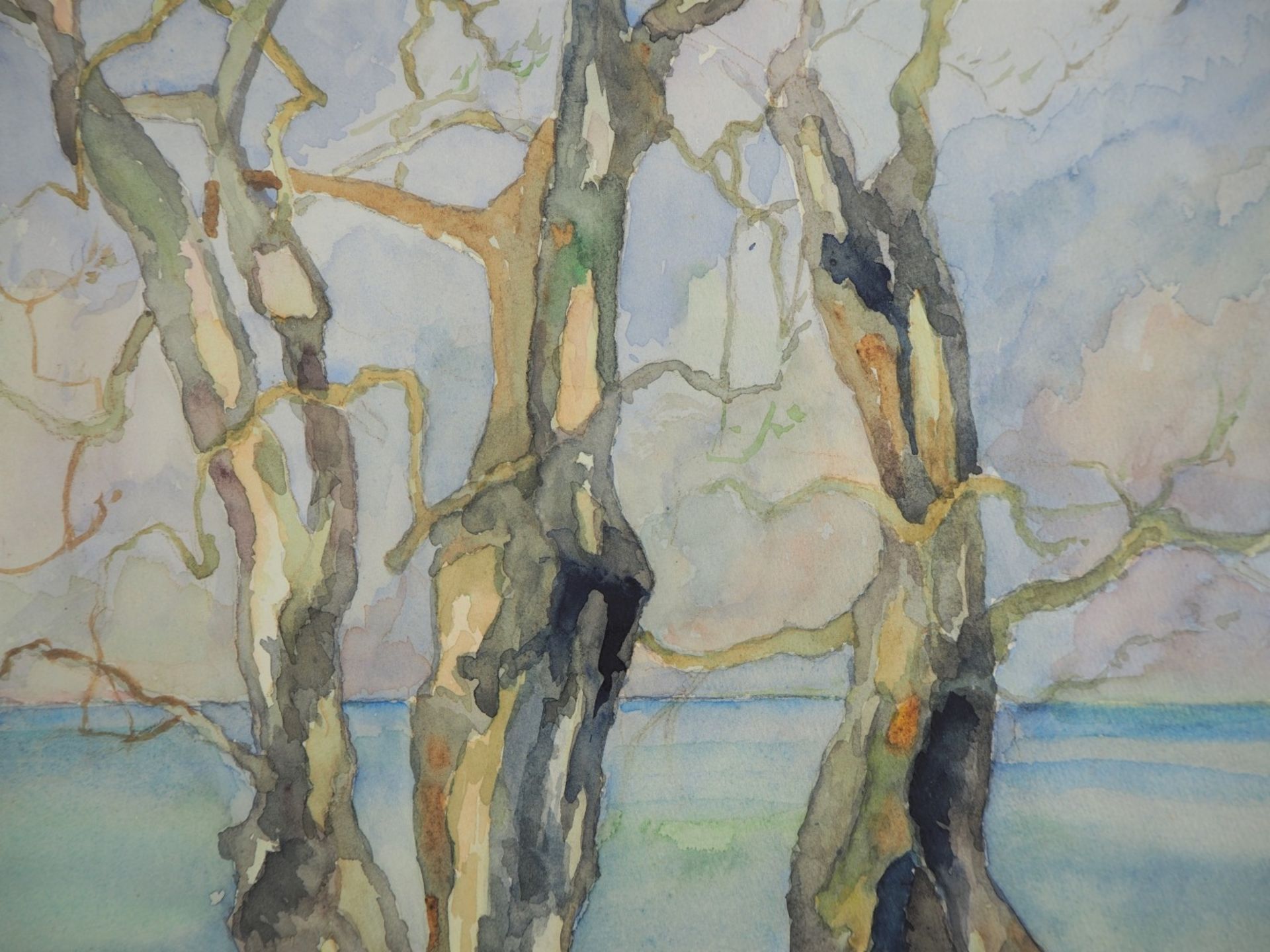 Josef Peter Niedermayr - Oliven am Gardasee 1967Aquarell auf Papier, monogrammiert und d - Bild 3 aus 3