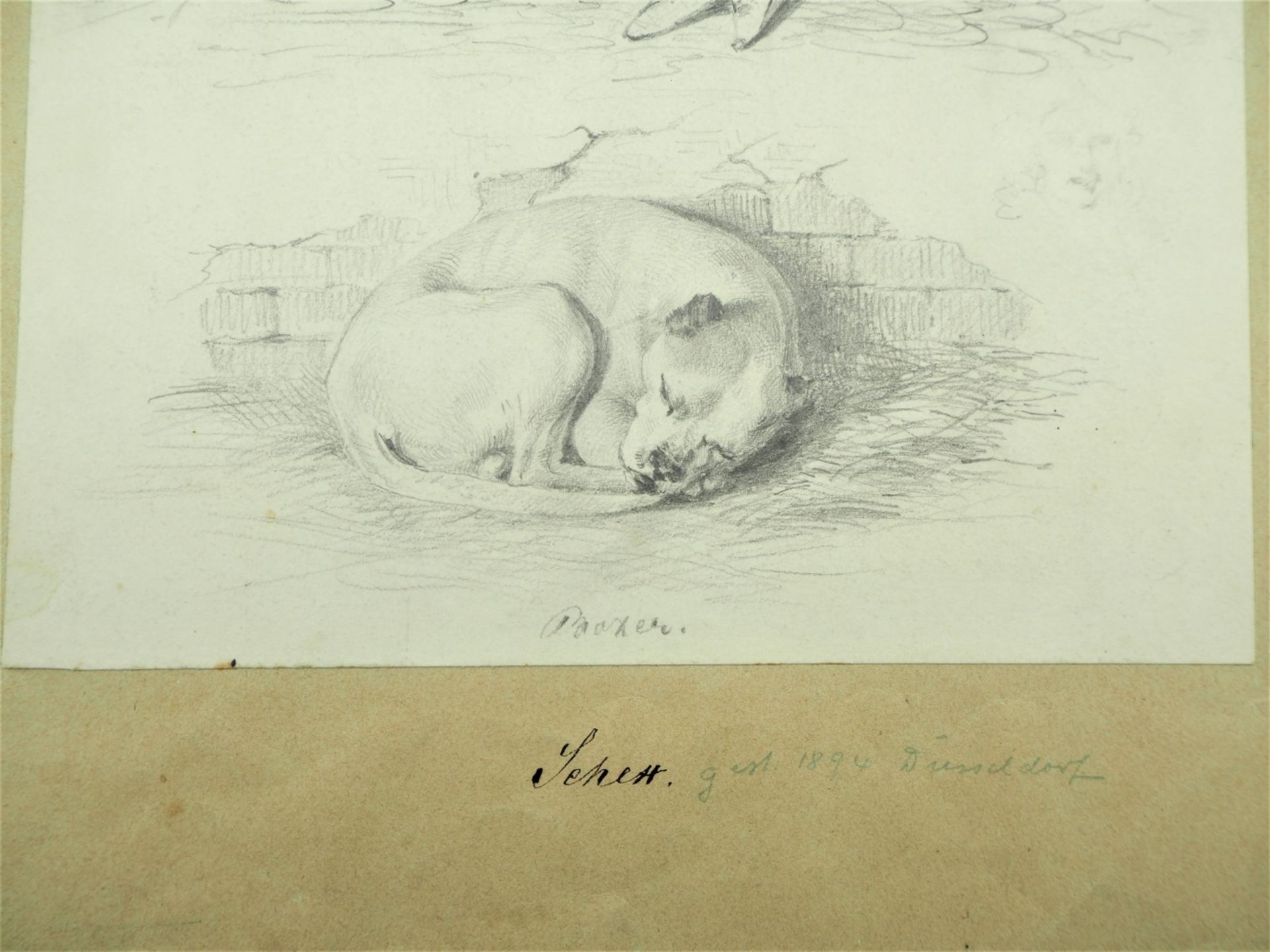 Joseph Schex - schlafende Mädchen, darunter schlafender HundJoseph Schex (1819-1894), Be - Bild 3 aus 3