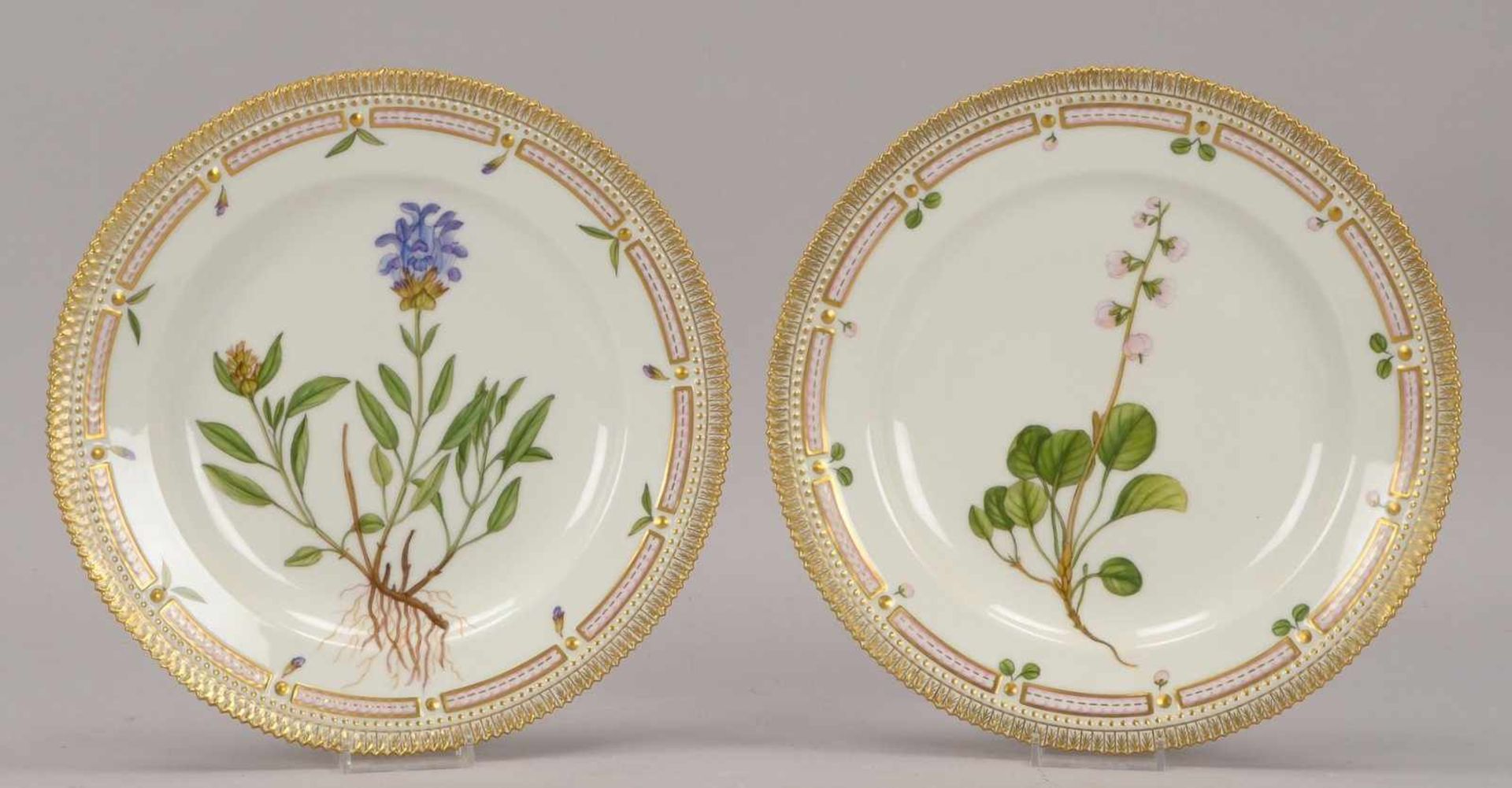 Royal Copenhagen/Dänemark, 2 Porzellanteller/flach (Stücke aus dem berühmten Servie 'Flora Danica'),