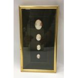 An attractively framed and glazed set of shell cam
