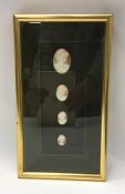 An attractively framed and glazed set of shell cam
