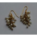 A pair of gold mounted and pearl drop earrings wit