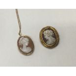 Two small shell cameos in gold frames. Approx. 7.4