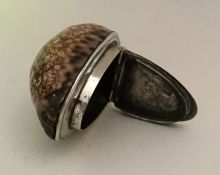 An unusual cowrie shell snuff box with silver moun