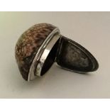An unusual cowrie shell snuff box with silver moun