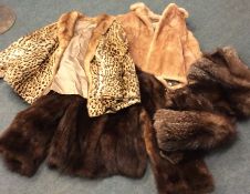 A group of four old fur coats. Est. £20 - £30.