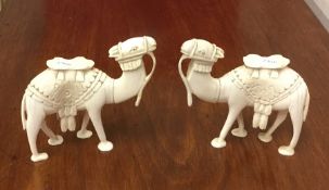 A pair of carved ivory figures of camels in standi