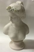 A Paragon bust of a lady's head on spreading circu