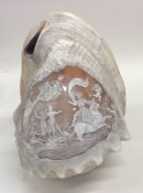 A large Bullmouth shell carved cameo decorated wit
