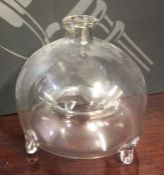 A Georgian glass domed top wasp trap. Approx. 13 c