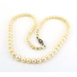 A single strand graduated cultured pearl necklace with 9ct white gold clasp, largest pearl d.