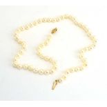 A single strand continuous cultured pearl necklace with yellow metal clasp, pearl d. 6 mm, l. 44.