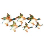 A set of six Beswick wall plaques, each modelled as a flying mallard, Model No. 596, max w.