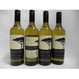 12 bottles of Acacia Tree Chenin Blanc 2017 South Africa