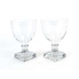 A pair of clear glass rummer's,