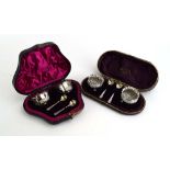 A pair of Victorian cased silver salts and spoons, maker HB, Birmingham 1891,