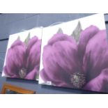 2 modern wall hangings depicting flowers