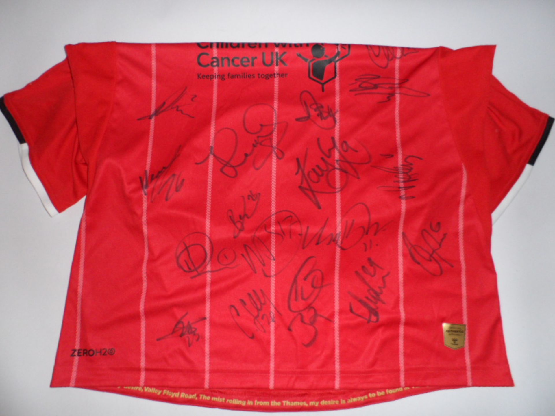 Charlton athletic Hummel 19/20 season shirt bearing signatures (unverified) - Image 3 of 3