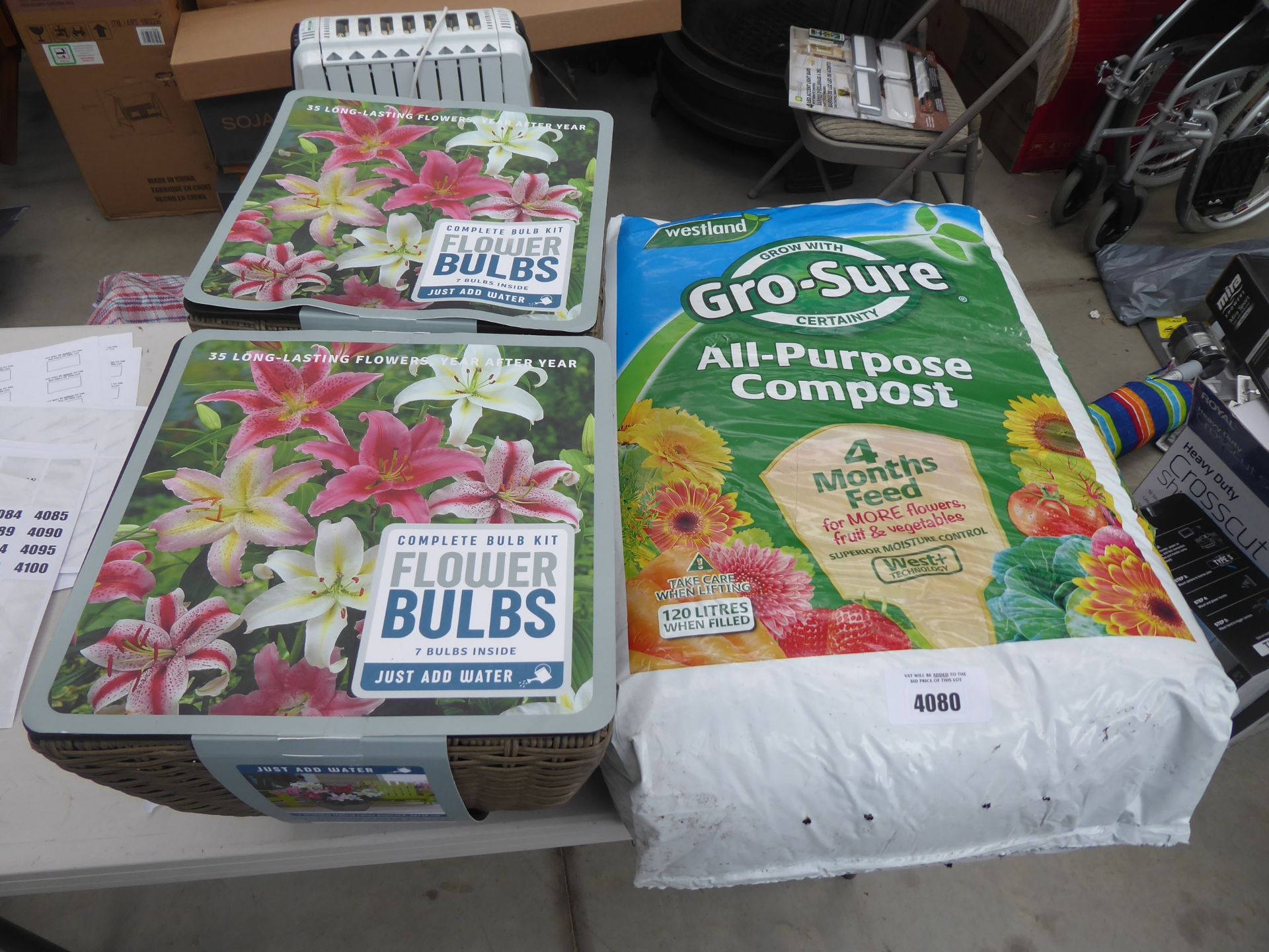 Bag of Westland Gro-Sure all purpose compost and 2 potted flower bulb kits