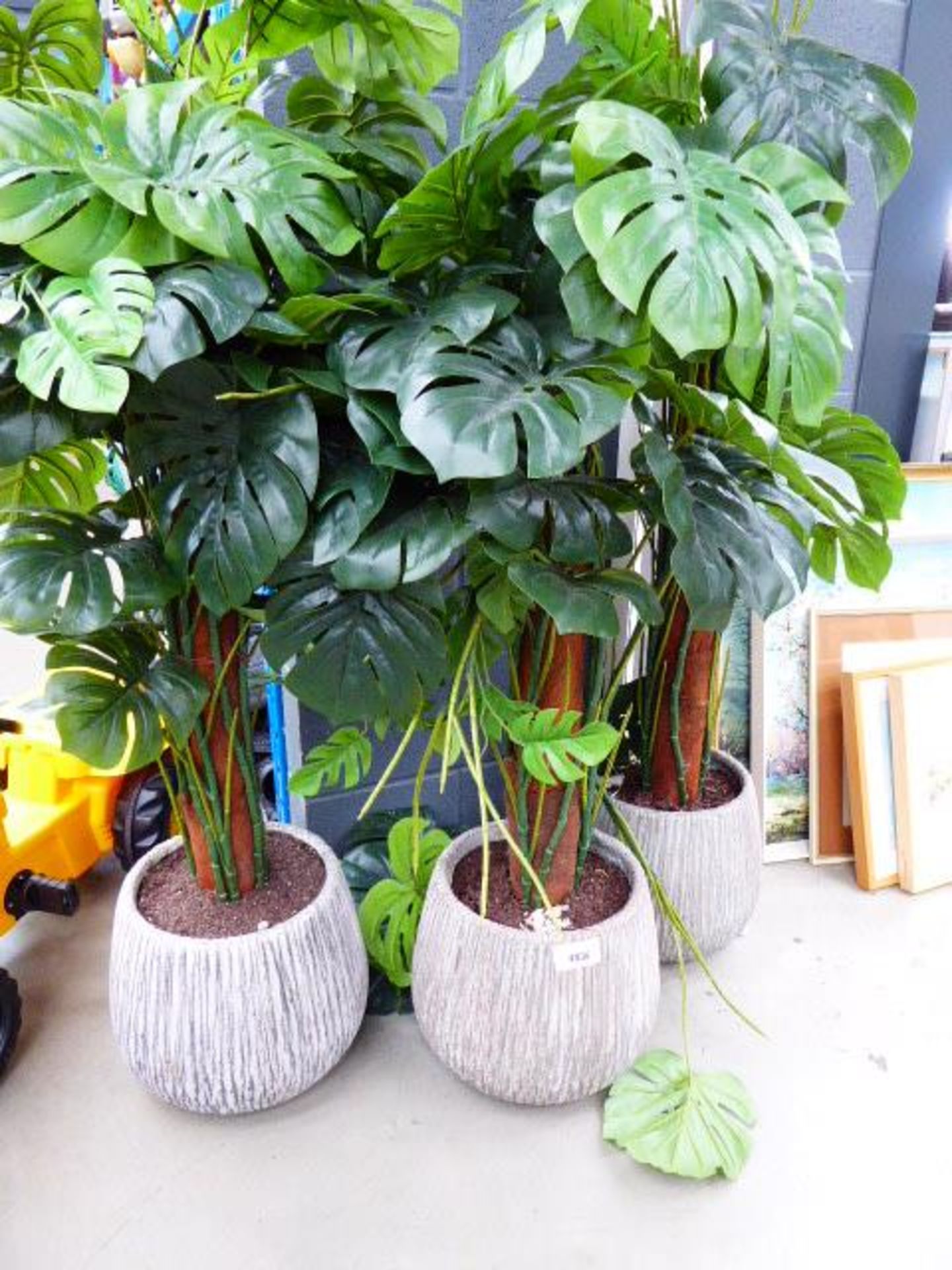 3 artificial cheese plants