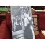 Metal wall hanging plus modern photographic print 'Lady in black dress'