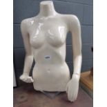 5008 - Female torso mannequin