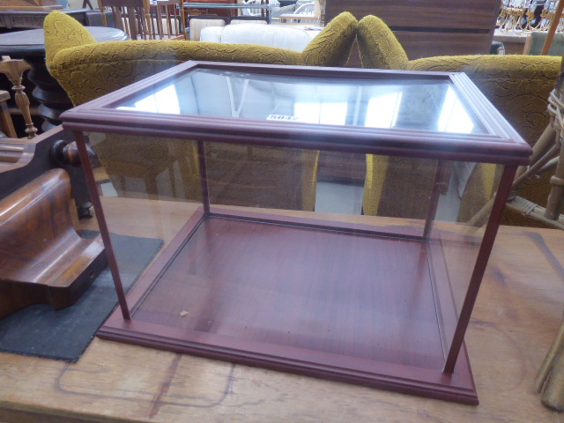 Perspex and stained beech display case