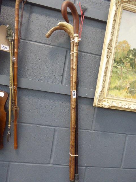 Bundle of three walking sticks