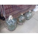 Three glass carboys with metal cages