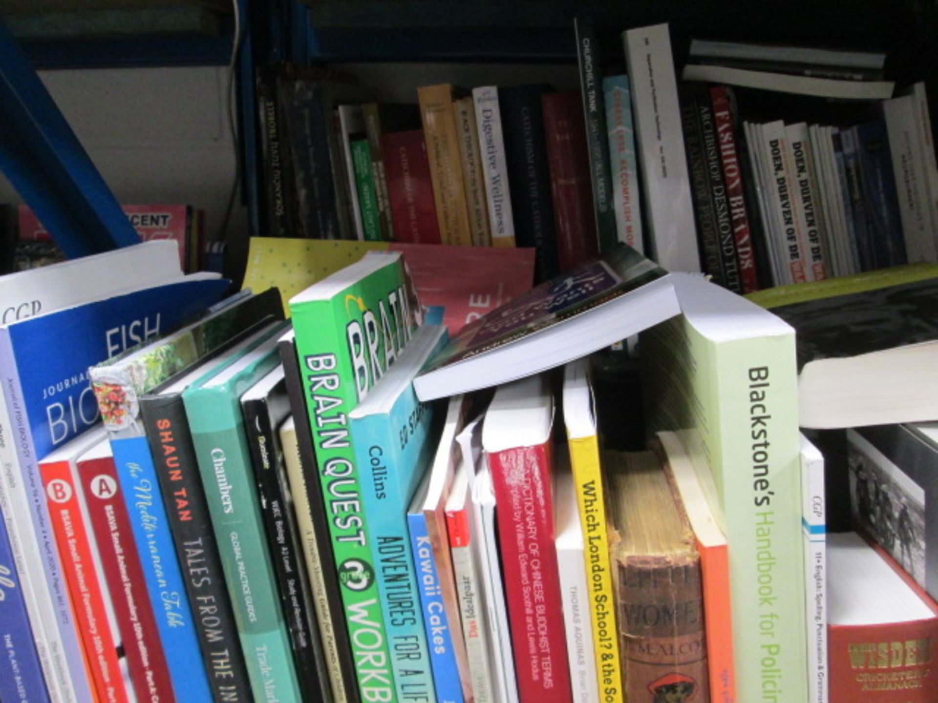 Shelf comprising of hardback and paperback reference materials and children's books etc - Image 2 of 2